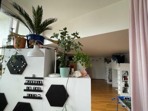 Apartamento Jungle Loft In Lausanne Centre