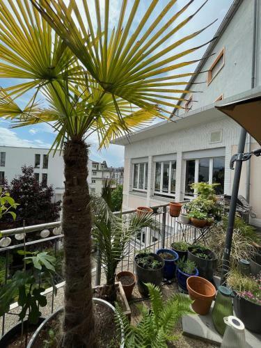 Apartamento Jungle Loft In Lausanne Centre