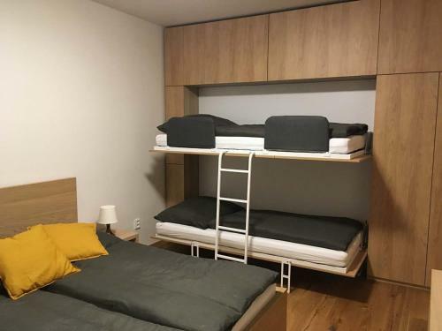Apartm�n U Sjezdovky