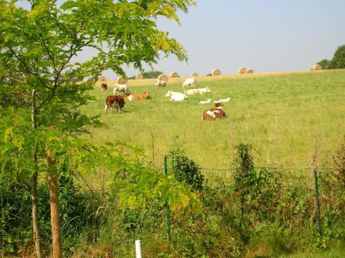 Bed & Breakfast La Gaucherie Aux Dames