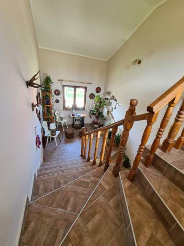 Apartman Bepo