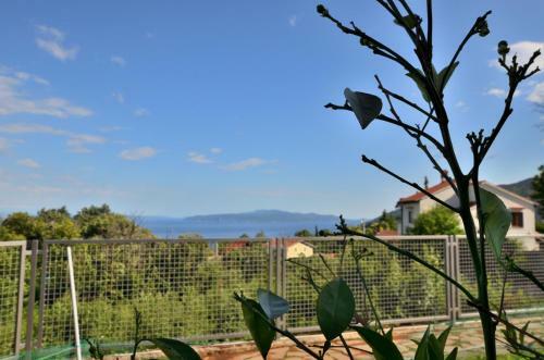 Apartments Villa Gara