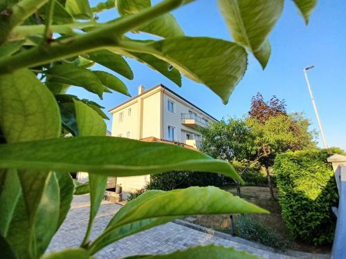 Leun 2 Apartmani Kostrena