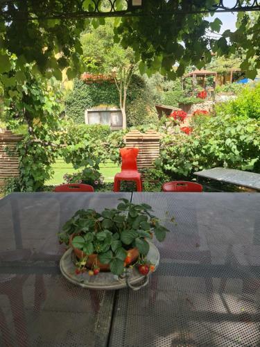 Apartamento Natura & Luxury Experience By Piccolo Feudo