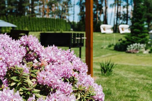 Domki Na Mazurach - Summer House Czerwonki