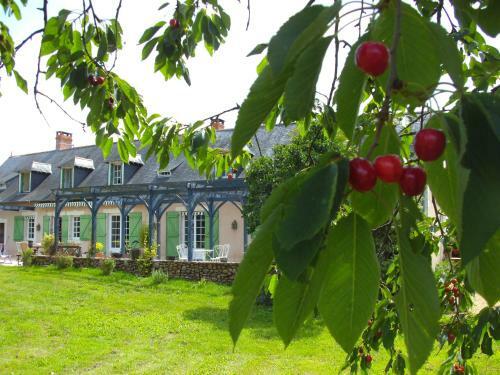 Bed & Breakfast Les Roulottes de La Brauderie