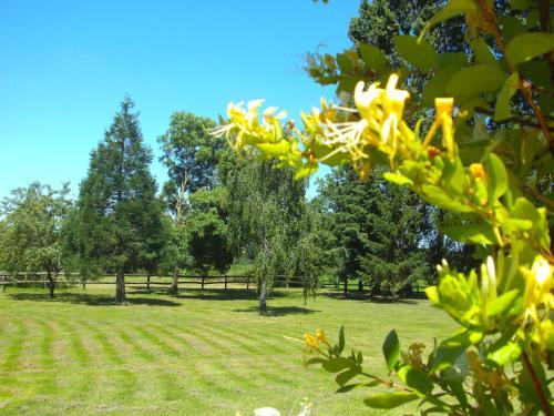 Bed & Breakfast Les Roulottes de La Brauderie