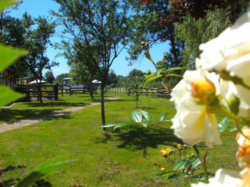 Bed & Breakfast Les Roulottes de La Brauderie