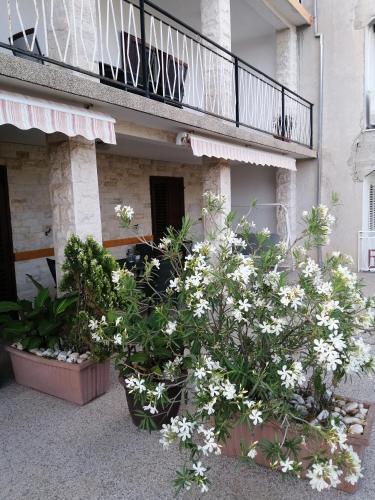Apartamento Stonewood Dalmacija