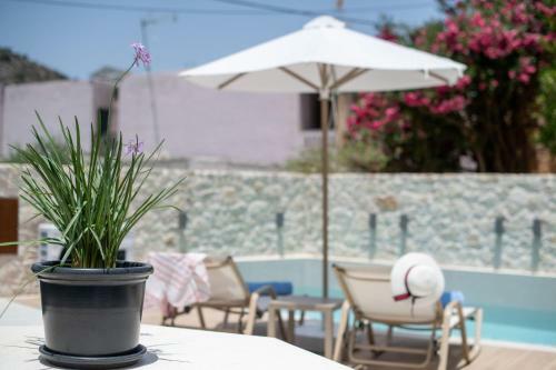 New Stylish Villa With Heated Pool & Jacuzzi!