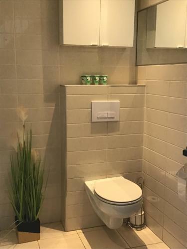 Apartament Parkowy