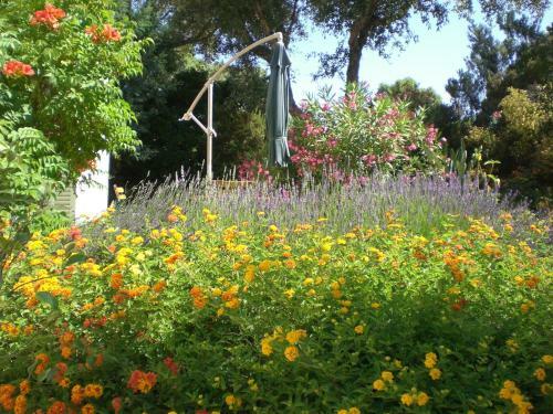 Bed & Breakfast Villa Port Sud