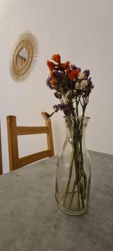 Hotel Camping Corali & Apartments