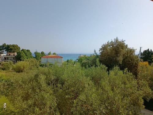 Villa Vila C&c Kassandra - Polichrono