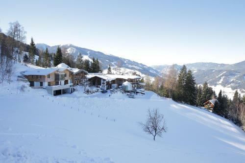 Chalet Alm Planai