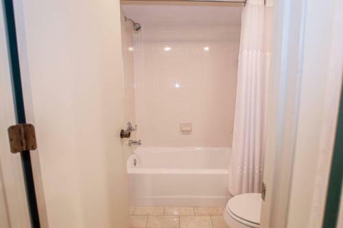 Saddlebrook Resort Executive Suite - Golf And Lakeside Views