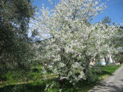 Christina Villa Near Stafylos Beach