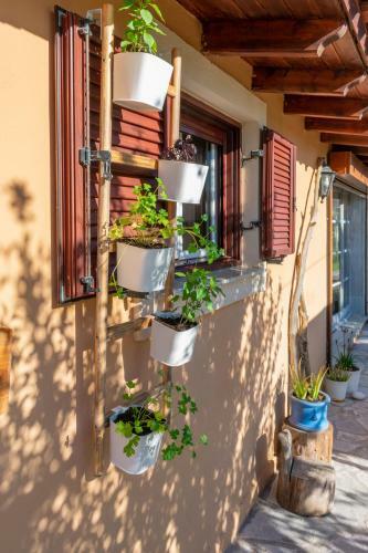 Villa Kapella Ground Floor Apartment