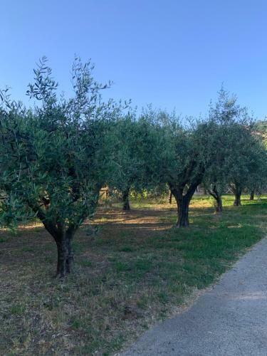 Apartamento Casetta Negli Ulivi