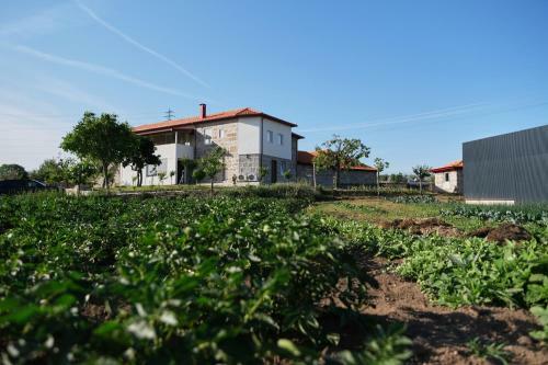 Villa Aldeia Da Quinta Do Pa�o