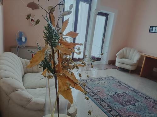 Hostal Dimora Liberty