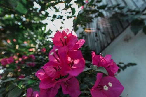 Oh Battambang Boutique Hotel