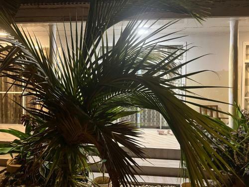 Bed & Breakfast Mafia Island Dindini Hotel