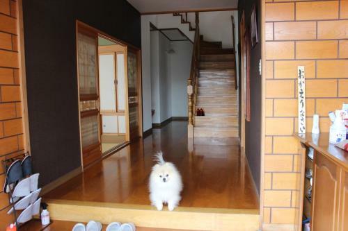 Hostal Guest House Mayuko No Yado - Vacation Stay 13217