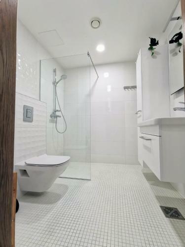 Scandian Apartments - City Centre Tallinn