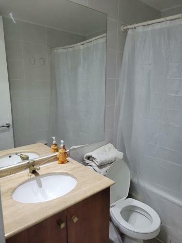 Apartamento Santiago Arrienda Inmobiliaria Spa