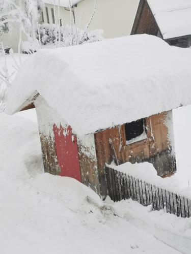 Apartamento Haus Knoll