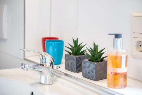 Apartamento Ferien Im Fachwerk