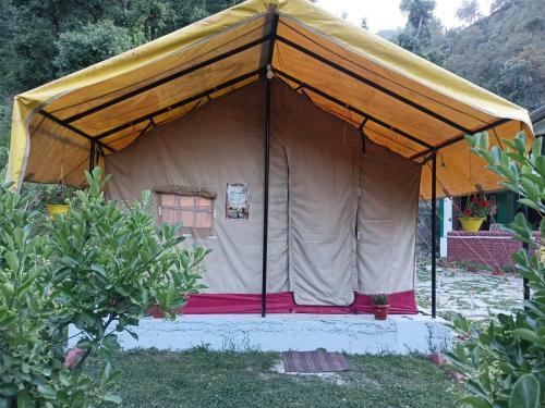 Shimla Camping