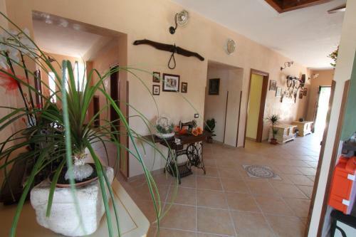 Agroturismo Azienda Agrituristica La Tenuta Del Falco