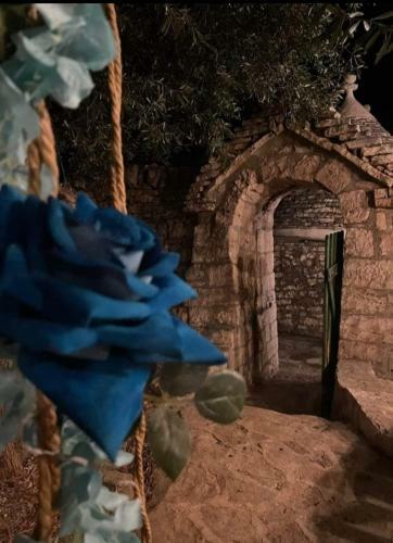Bed & Breakfast Masseria Rimessa Cal�