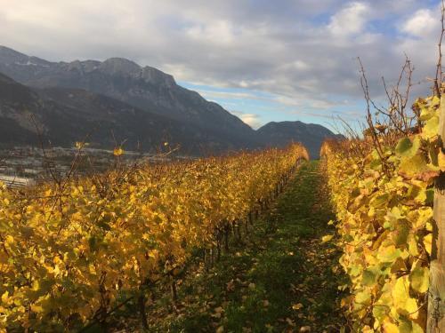 Agroturismo Agritur Maso Wallenburg