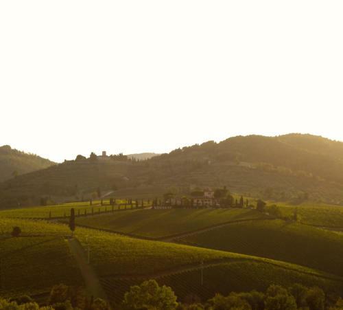 Agroturismo Fattoria Viticcio