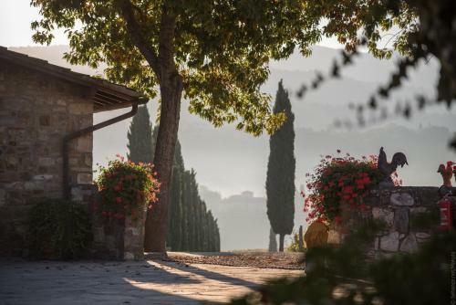 Agroturismo Fattoria Viticcio