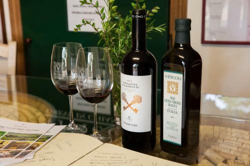 Agroturismo Fattoria Viticcio