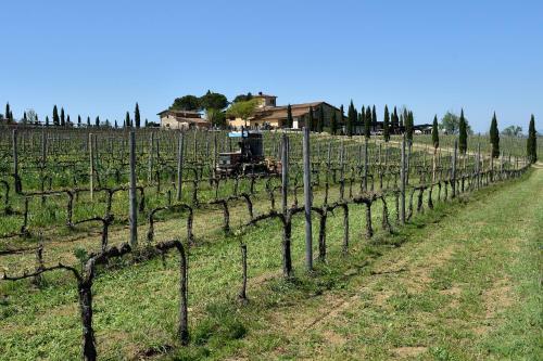 Agroturismo Fattoria Viticcio