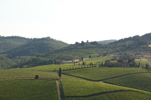 Agroturismo Fattoria Viticcio