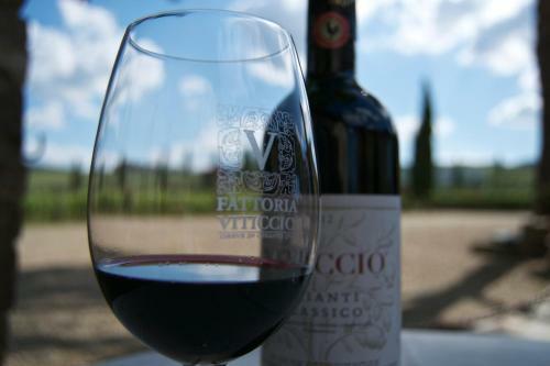 Agroturismo Fattoria Viticcio