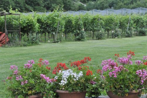Agroturismo Agritur Ai Masi