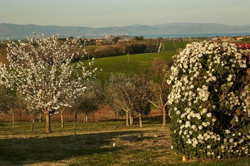 Apartamento Podere Fontegallo