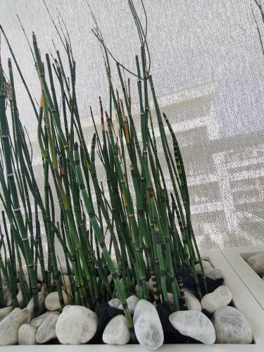 Apartamento Ellenove Holiday House