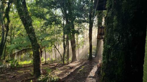 Chal� Rural Em Canela - Chal� Do Mato