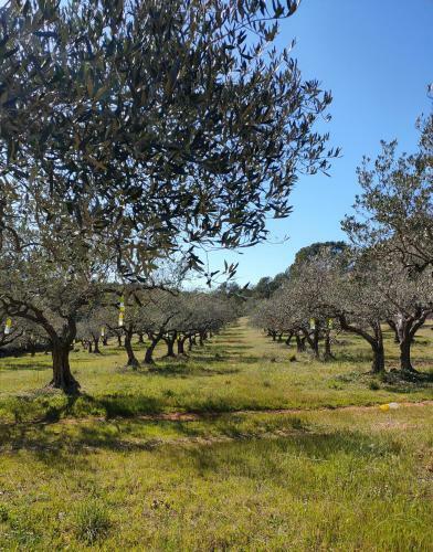 Bed & Breakfast Les Hauts Du Peireguier
