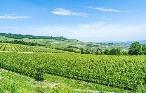 Beautiful Home In Vignale Monferrato With Wifi And 4 Bedrooms