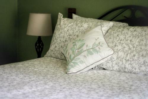 Hostal Moss Room: Nature, Weed, & Wine At Fernwood