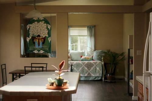 Hostal Moss Room: Nature, Weed, & Wine At Fernwood